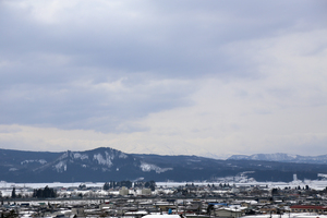 IMG_8369.jpg