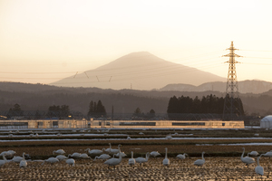 鳥海山写真2016.3.28.1.jpg