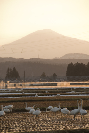 鳥海山写真2016.3.28.2.jpg