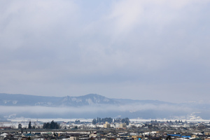 IMG_8778.jpg