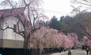 伝承館通り④.jpg