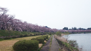 土手③.jpg