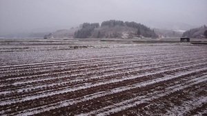 DSC_0480.JPG
