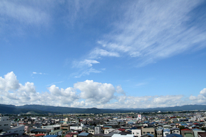 IMG_9492.jpg