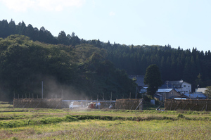 H28　脱穀.jpg