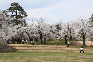 前森公園20017.4.25.1.jpg