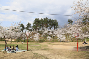 前森公園20017.4.25.2.jpg
