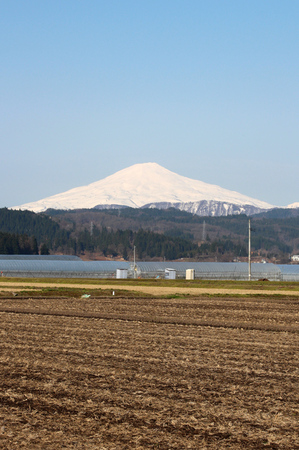 IMG_1174.jpg