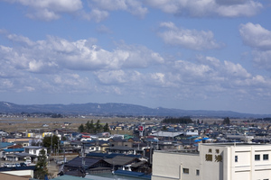 IMG_2874.jpg