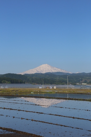 鳥海山写真  2017.5.19.jpg