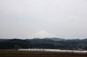 鳥海山写真  2017.5.9.jpg