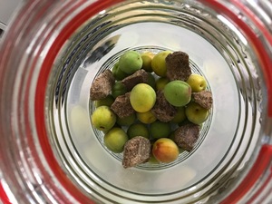 IMG_1056.JPG