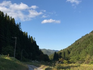 IMG_1872.JPG