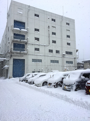 駐車場　2017.1.26　1　.jpg