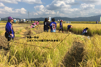 report08_img01[1].jpgのサムネイル画像