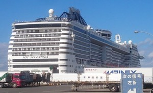 MSC SPLENDIDA画像2.jpg