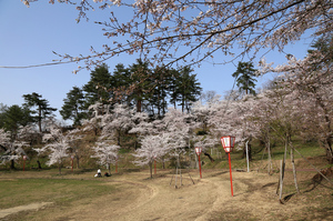前森公園　2019.4.23.3.jpg