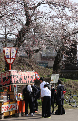 前森公園　2019.4.23.4.jpg