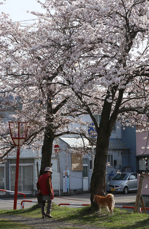 前森公園　2019.4.23.5.jpg