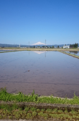 鳥海山写真  2019.5.13.1.jpg