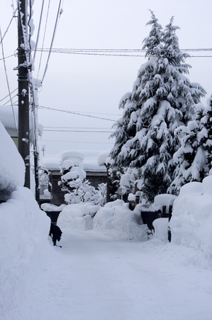 湯沢市積雪情報 2014.1.20.2.jpg