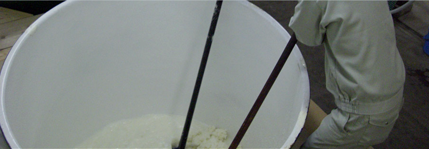 爛漫の取り組み