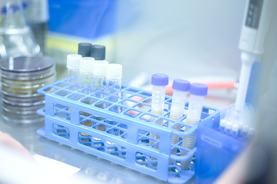 爛漫機能性食品 発酵ラボとは